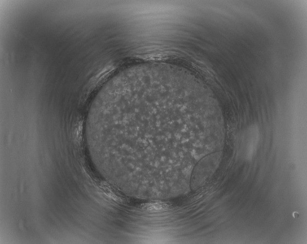 X0000064720652200602241641