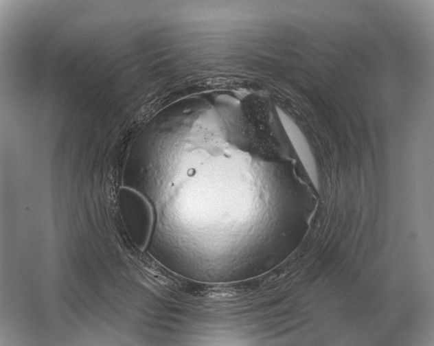 X0000064720653200602241641