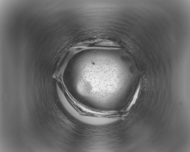 X0000064720654200602241641