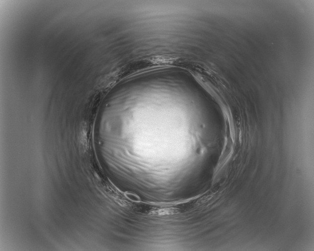 X0000064720655200602241641