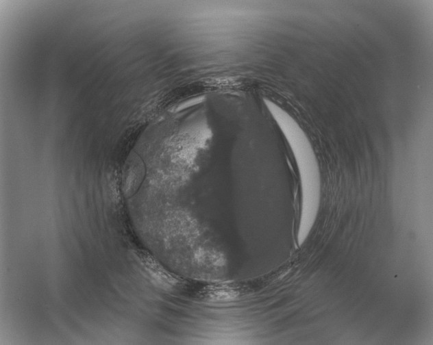 X0000064720658200602241641