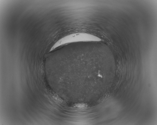 X0000064720659200602241641