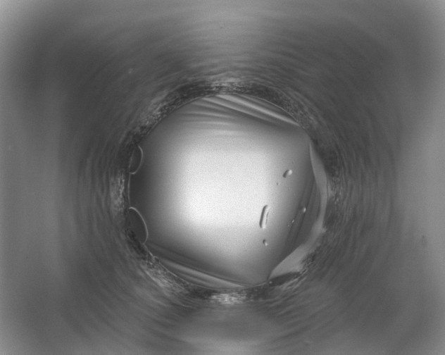 X0000064720660200602241641