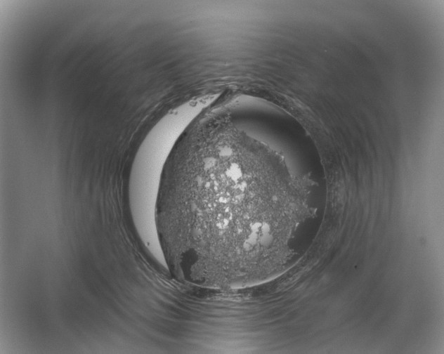 X0000064720661200602241641