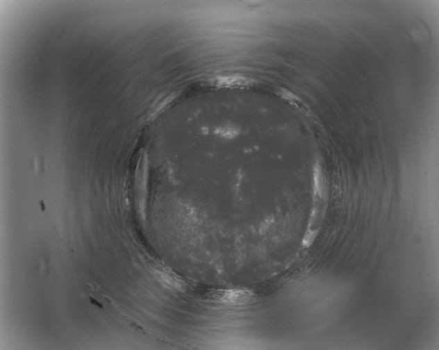 X0000064720663200602241641