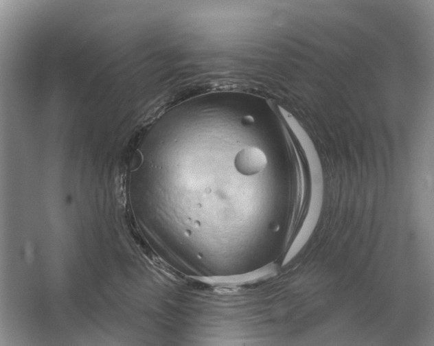 X0000064720666200602241641