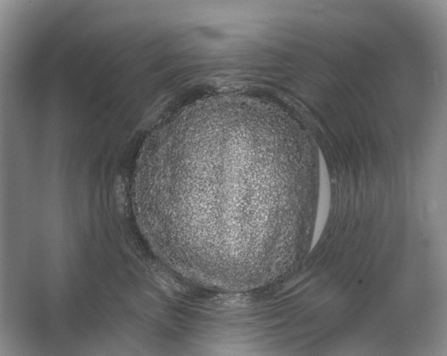 X0000064720667200602241641