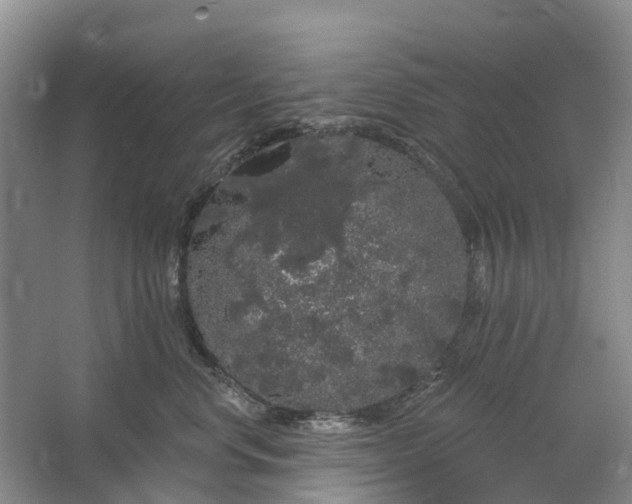 X0000064720668200602241641