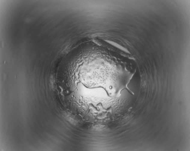 X0000064720669200602241641