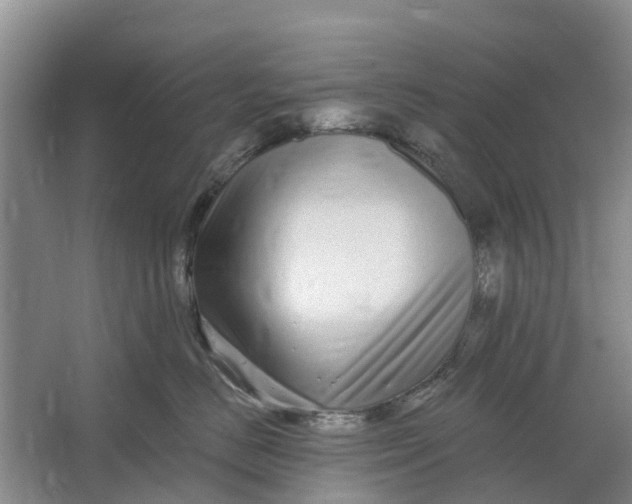 X0000064720670200602241642