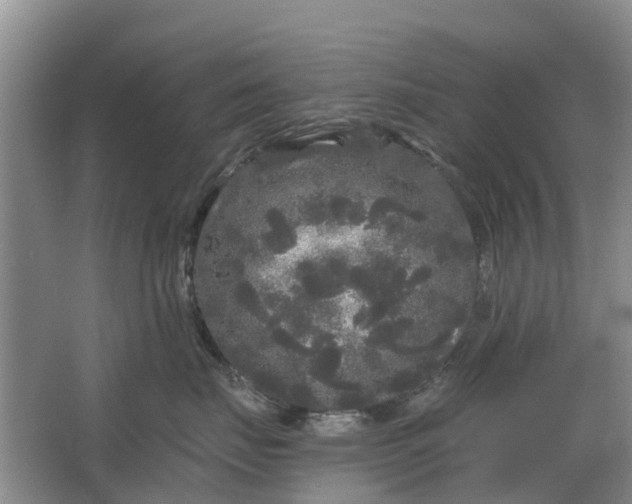 X0000064720671200602241642