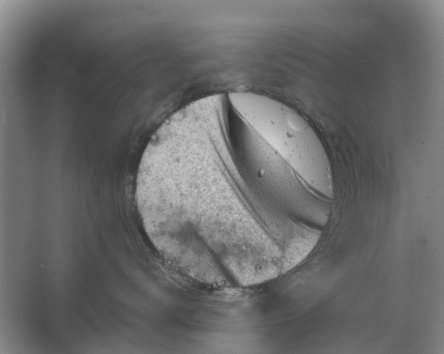 X0000064720672200602241642