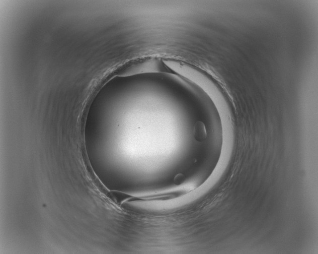 X0000064720673200602241640