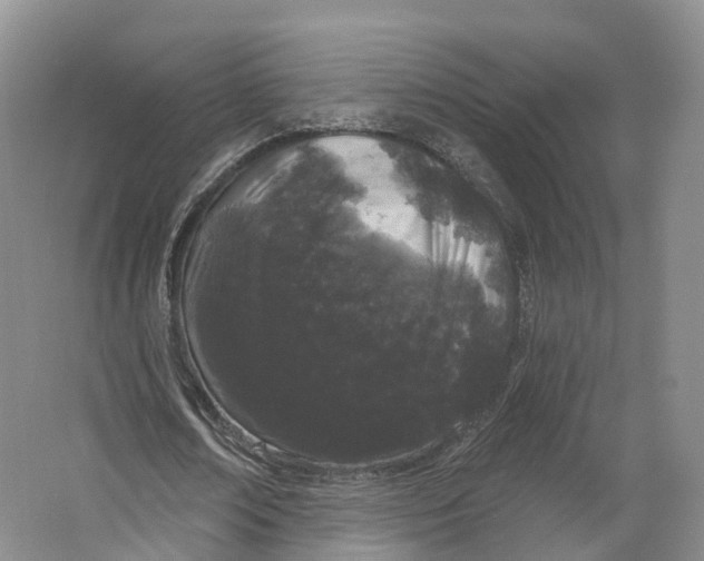 X0000064720674200602241640