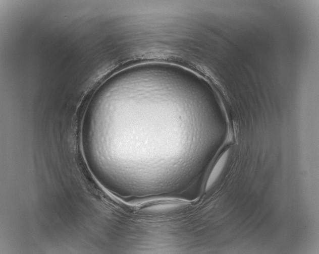 X0000064720675200602241640