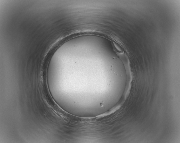 X0000064720676200602241640