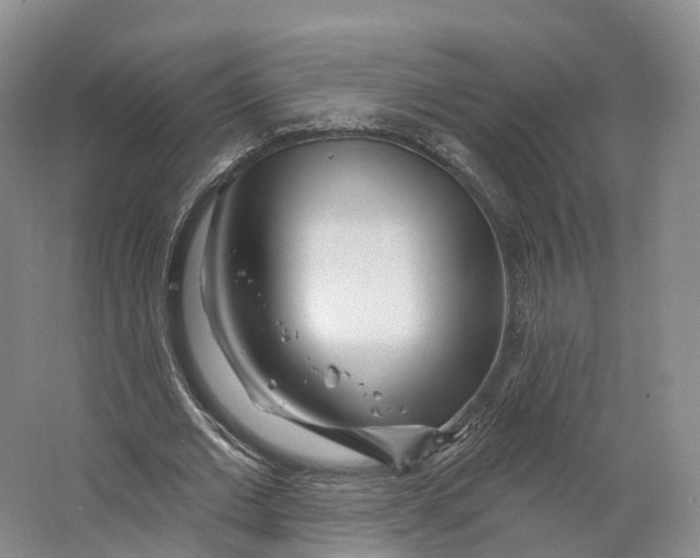 X0000064720677200602241640