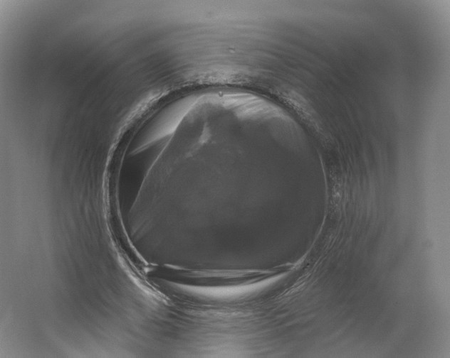 X0000064720678200602241640