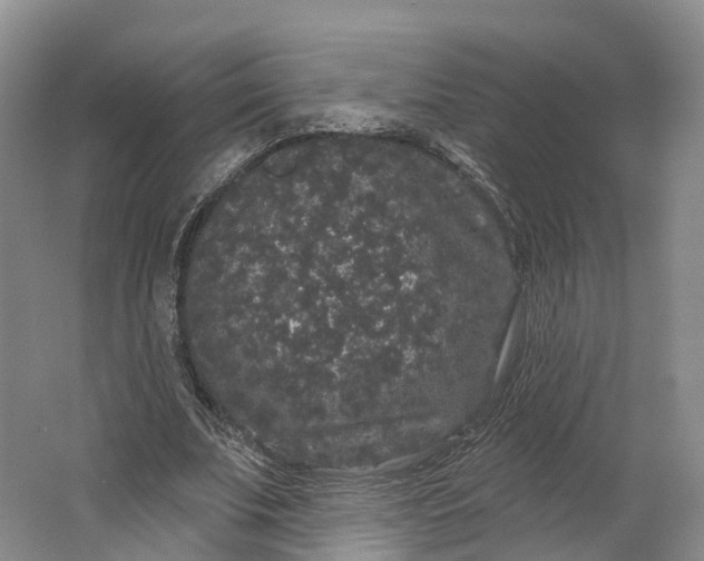 X0000064720679200602241640