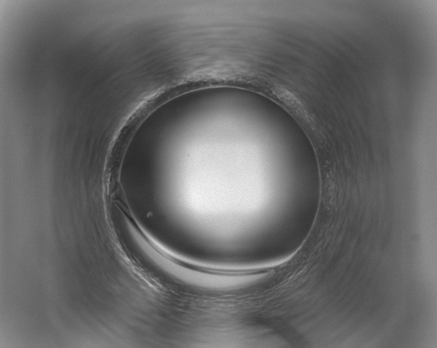 X0000064720680200602241640