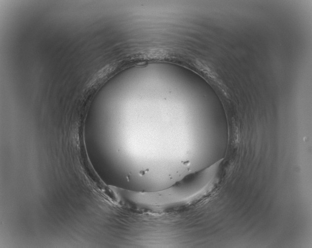 X0000064720681200602241640