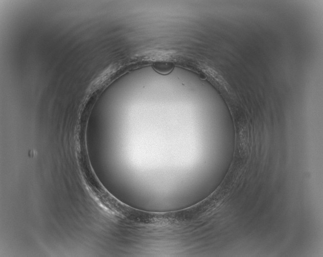 X0000064720682200602241640