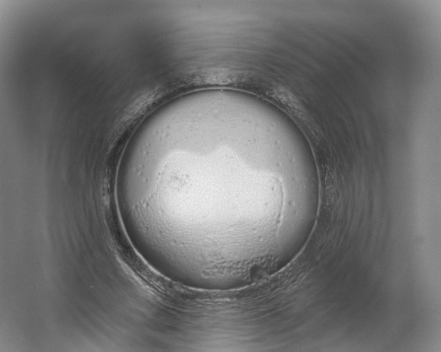 X0000064720683200602241640