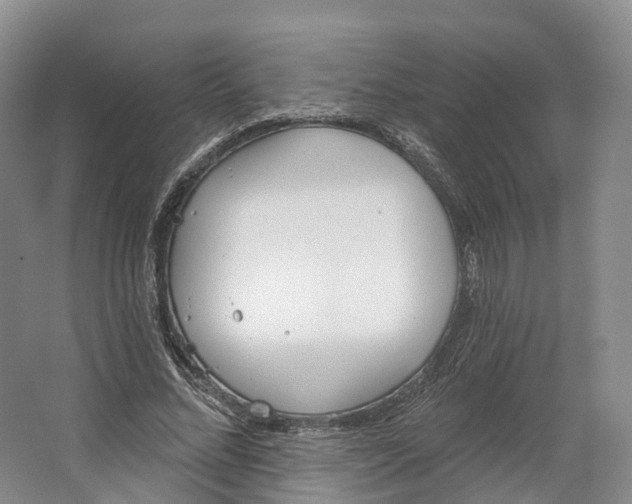 X0000064720684200602241640