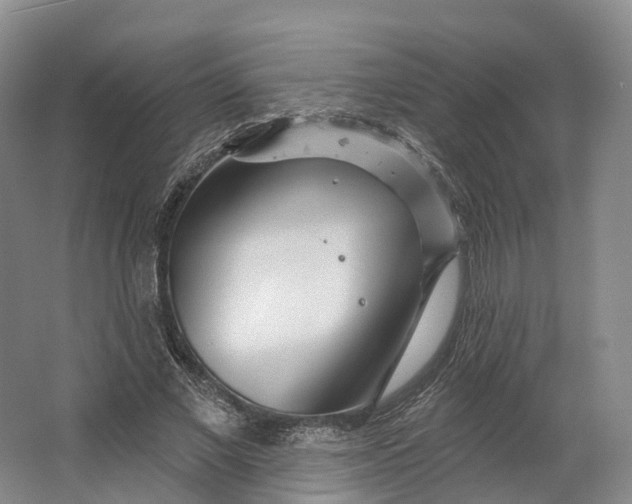 X0000064720685200602241640