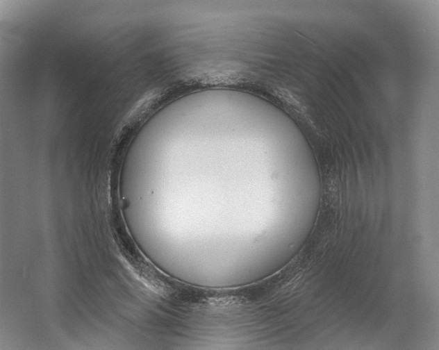 X0000064720686200602241640