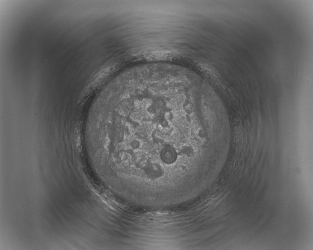 X0000064720687200602241640