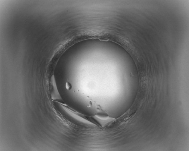 X0000064720688200602241640