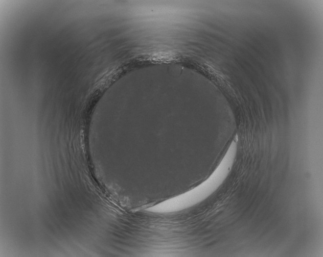 X0000064720689200602241640