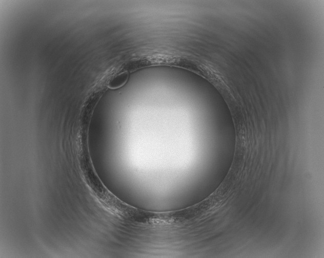 X0000064720690200602241640