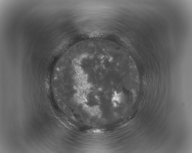 X0000064720691200602241640