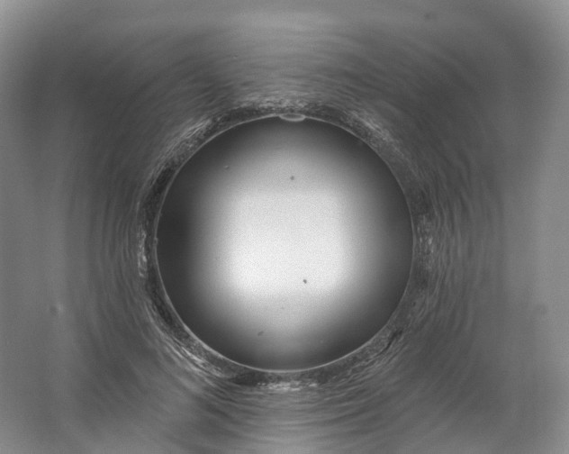 X0000064720692200602241640