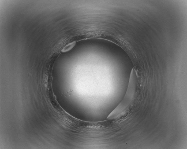 X0000064720693200602241640