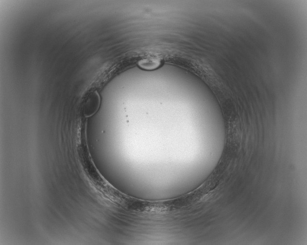 X0000064720694200602241640