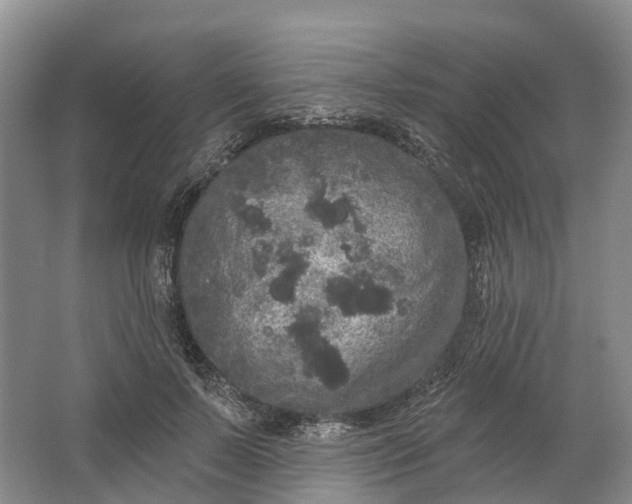 X0000064720695200602241640