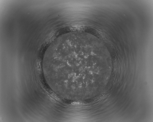 X0000064720699200602241640