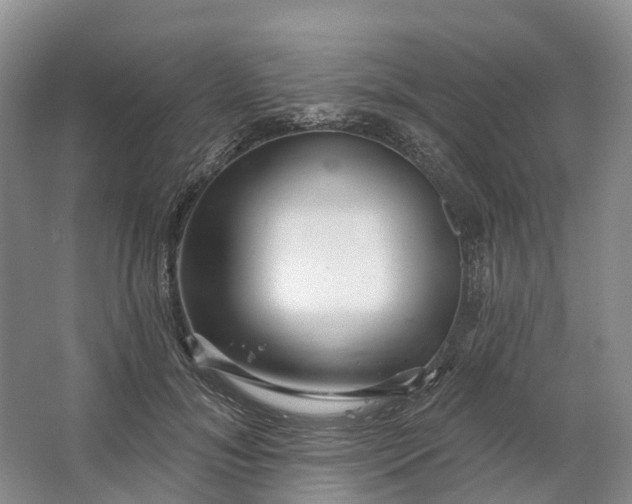 X0000064720700200602241640