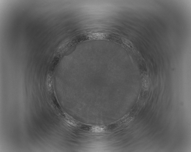 X0000064720701200602241640