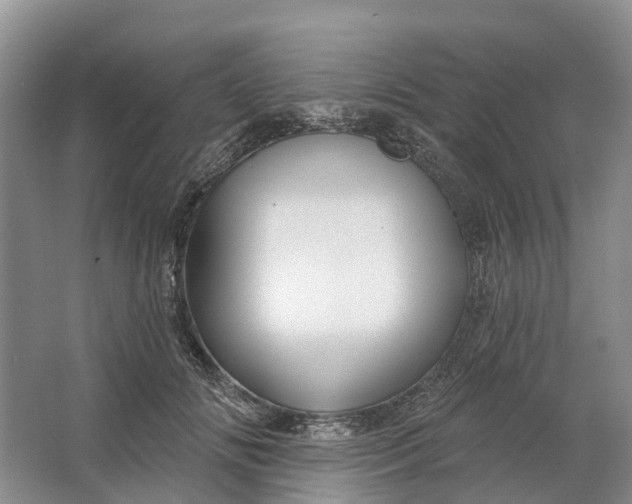 X0000064720702200602241640