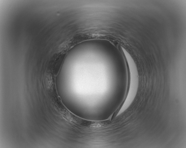 X0000064720704200602241640