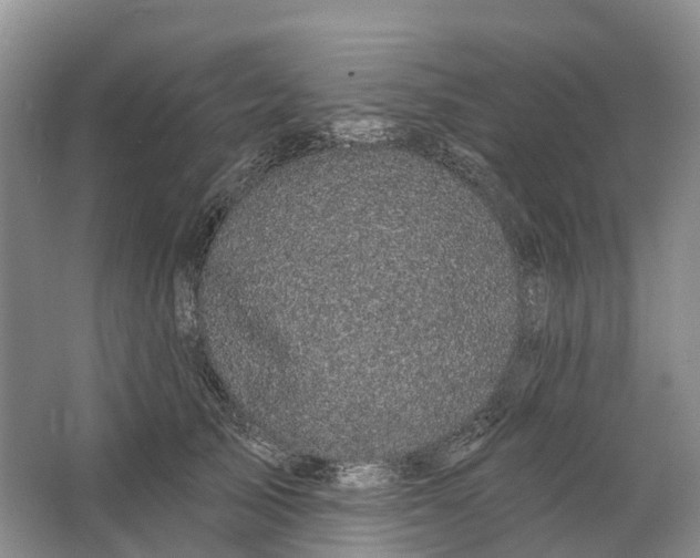 X0000064720705200602241640