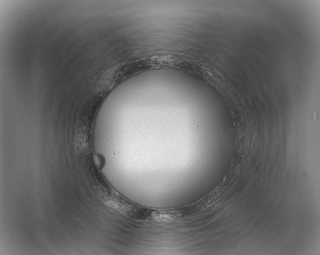 X0000064720706200602241640