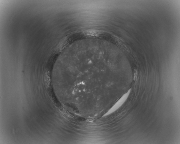 X0000064720707200602241639