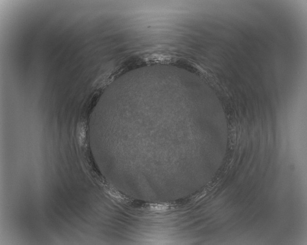 X0000064720709200602241639