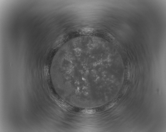 X0000064720711200602241639