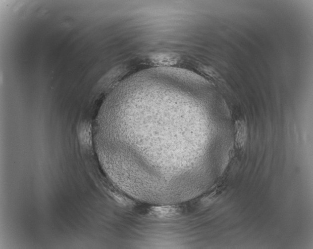 X0000064720713200602241639